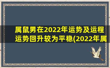 属鼠男在2022年运势及运程 运势回升较为平稳(2022年属鼠男运势平稳回升，运程有所改观)